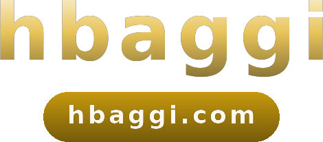 hbaggi logo